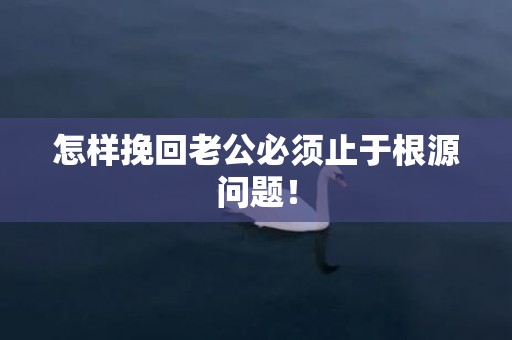 怎样挽回老公必须止于根源问题！