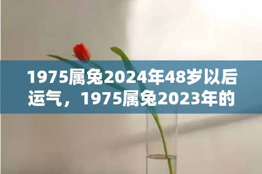 1975属兔2024年48岁以后运气，1975属兔2023年的运势及运程