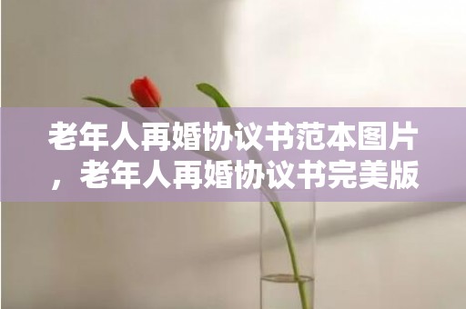 老年人再婚协议书范本图片，老年人再婚协议书完美版