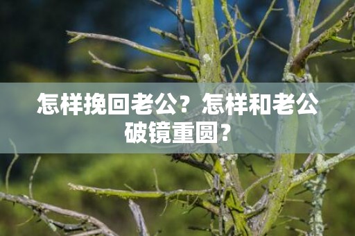 怎样挽回老公？怎样和老公破镜重圆？