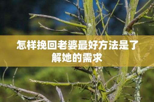 怎样挽回老婆最好方法是了解她的需求