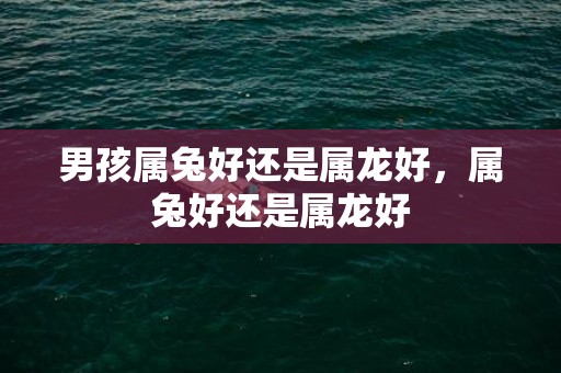 男孩属兔好还是属龙好，属兔好还是属龙好