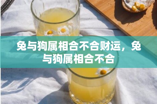 兔与狗属相合不合财运，兔与狗属相合不合