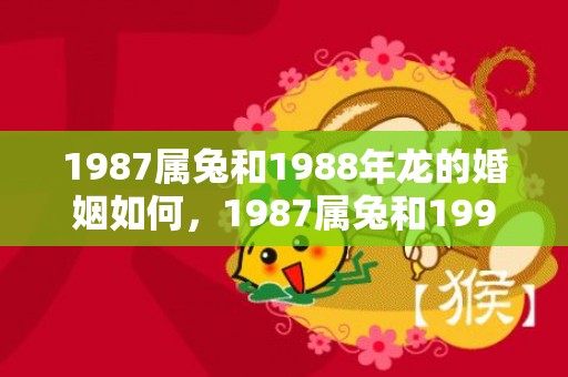 1987属兔和1988年龙的婚姻如何，1987属兔和1992属猴相配吗