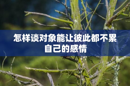 怎样谈对象能让彼此都不累自己的感情