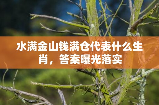 水满金山钱满仓代表什么生肖，答案曝光落实