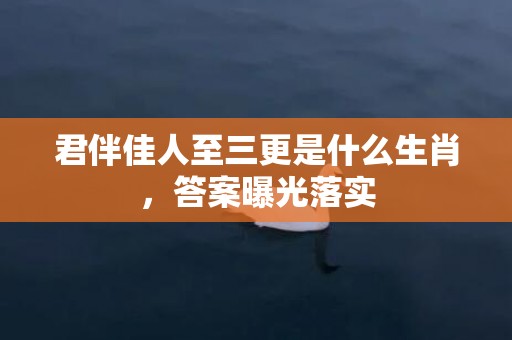 君伴佳人至三更是什么生肖，答案曝光落实