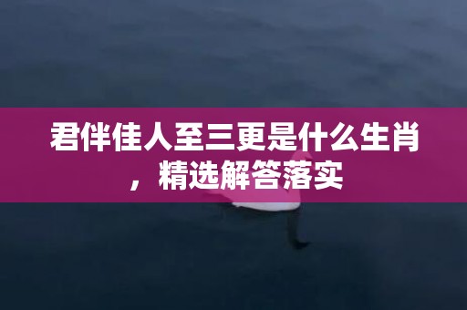 君伴佳人至三更是什么生肖，精选解答落实