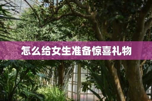 怎么给女生准备惊喜礼物