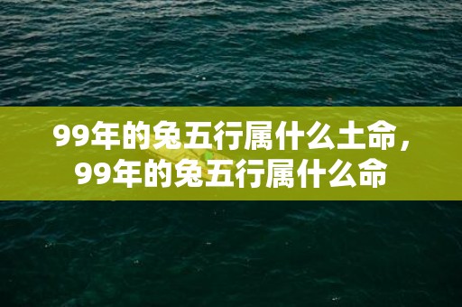 99年的兔五行属什么土命，99年的兔五行属什么命