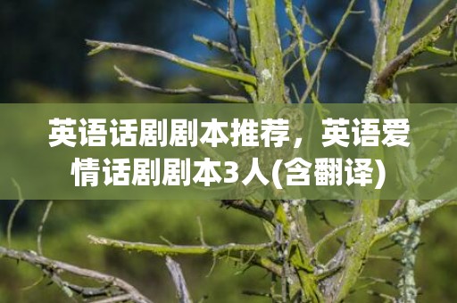 英语话剧剧本推荐，英语爱情话剧剧本3人(含翻译)