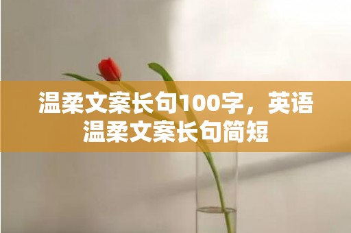 温柔文案长句100字，英语温柔文案长句简短