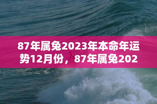 87年属兔2023年本命年运势12月份，87年属兔2023年9月份运势