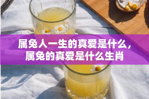 属兔人一生的真爱是什么，属兔的真爱是什么生肖