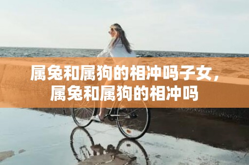 属兔和属狗的相冲吗子女，属兔和属狗的相冲吗