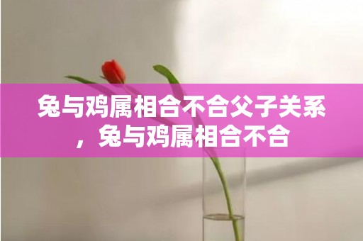 兔与鸡属相合不合父子关系，兔与鸡属相合不合