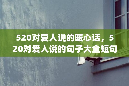 520对爱人说的暖心话，520对爱人说的句子大全短句(感谢爱人的短句)