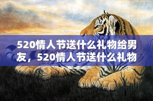 520情人节送什么礼物给男友，520情人节送什么礼物合适呢？情人节送啥礼物最好呢