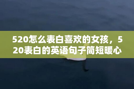 520怎么表白喜欢的女孩，520表白的英语句子简短暖心？表白姐姐的暖心句子