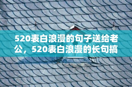 520表白浪漫的句子送给老公，520表白浪漫的长句搞笑句子 表白专用句子