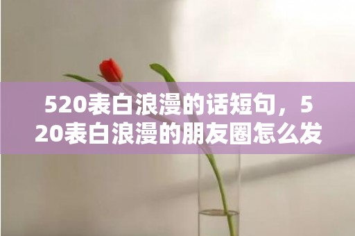 520表白浪漫的话短句，520表白浪漫的朋友圈怎么发 朋友圈发什么比较吸引人