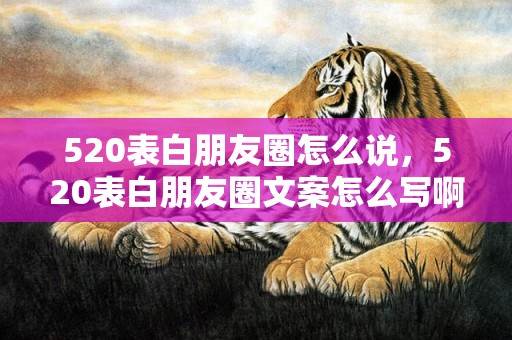 520表白朋友圈怎么说，520表白朋友圈文案怎么写啊，朋友圈偷偷表白文案