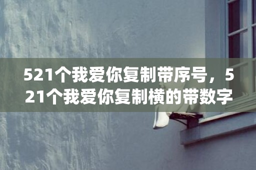 521个我爱你复制带序号，521个我爱你复制横的带数字(9999带标号我爱你复制)