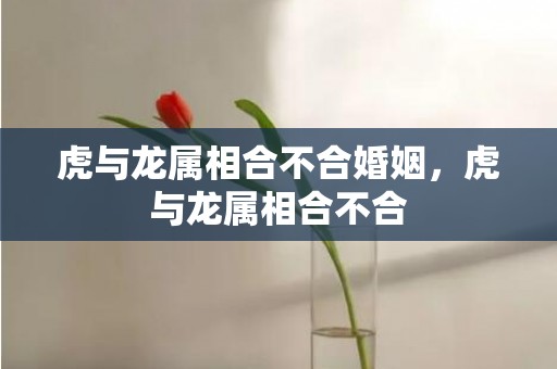 虎与龙属相合不合婚姻，虎与龙属相合不合