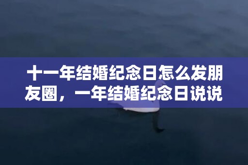 十一年结婚纪念日怎么发朋友圈，一年结婚纪念日说说心情短语 结婚纪念日伤心说说