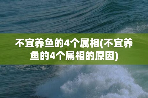 不宜养鱼的4个属相(不宜养鱼的4个属相的原因)