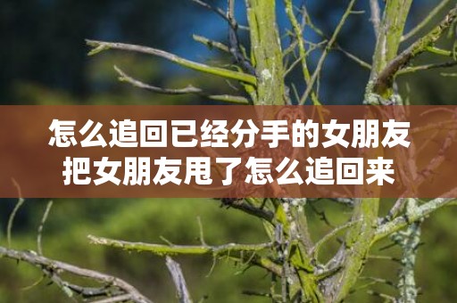 怎么追回已经分手的女朋友把女朋友甩了怎么追回来