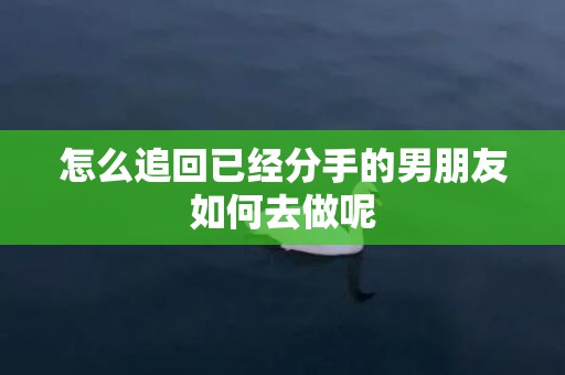 怎么追回已经分手的男朋友如何去做呢