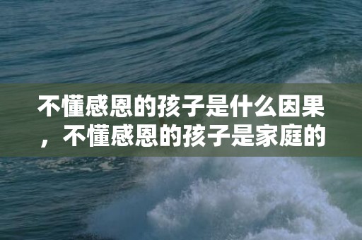 不懂感恩的孩子是什么因果，不懂感恩的孩子是家庭的悲哀 孩子不懂感恩的表现有哪些