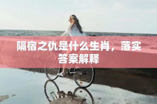 隔宿之仇是什么生肖，落实答案解释