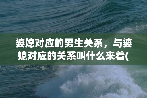 婆媳对应的男生关系，与婆媳对应的关系叫什么来着(婆媳是什么关系)