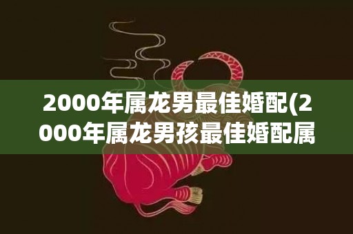 2000年属龙男最佳婚配(2000年属龙男孩最佳婚配属相)