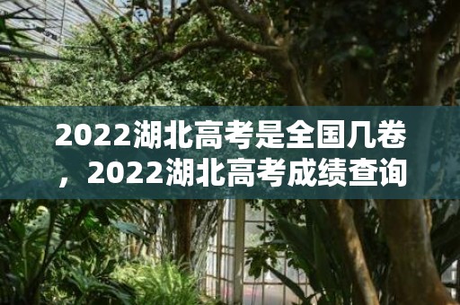 2022湖北高考是全国几卷，2022湖北高考成绩查询时间+查询入口+查询方式