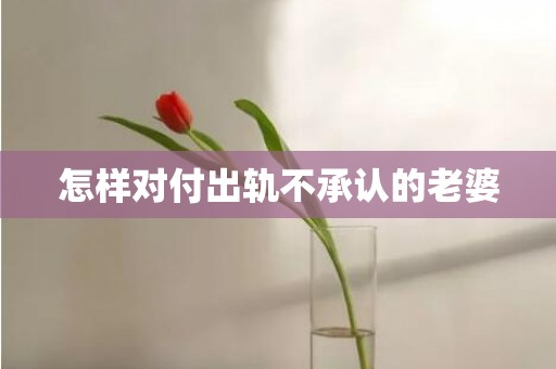 怎样对付出轨不承认的老婆