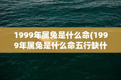 1999年属兔是什么命(1999年属兔是什么命五行缺什么)