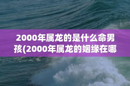 2000年属龙的是什么命男孩(2000年属龙的姻缘在哪年才会成功)