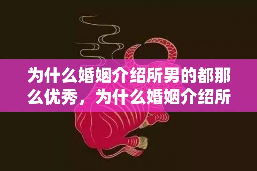 为什么婚姻介绍所男的都那么优秀，为什么婚姻介绍所开的不多了？如何开一家婚姻介绍所