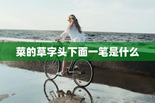 菜的草字头下面一笔是什么