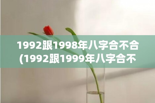 1992跟1998年八字合不合(1992跟1999年八字合不合)