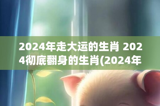 2024年走大运的生肖 2024彻底翻身的生肖(2024年走大运的星座)