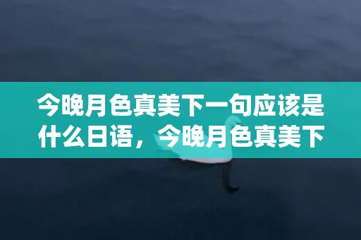 今晚月色真美下一句应该是什么日语，今晚月色真美下一句怎么拒绝(今晚月色真美日语发音朗读)