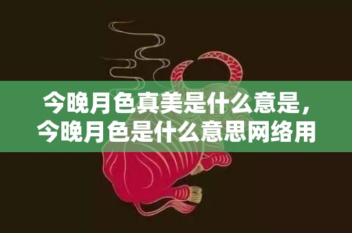 今晚月色真美是什么意是，今晚月色是什么意思网络用语 月色的意思