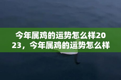 今年属鸡的运势怎么样2023，今年属鸡的运势怎么样2023年 属鸡人在2023年的运势