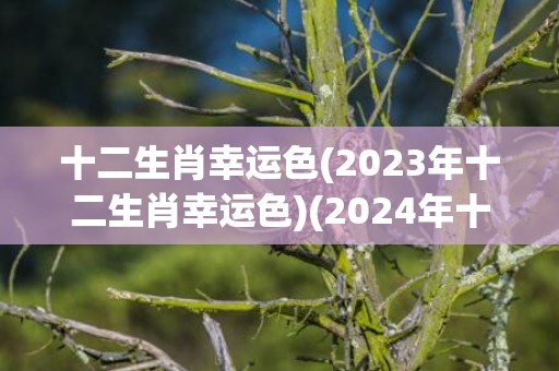 十二生肖幸运色(2023年十二生肖幸运色)(2024年十二生肖幸运色)