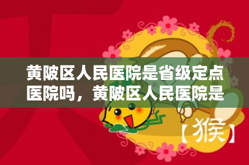 黄陂区人民医院是省级定点医院吗，黄陂区人民医院是三甲吗