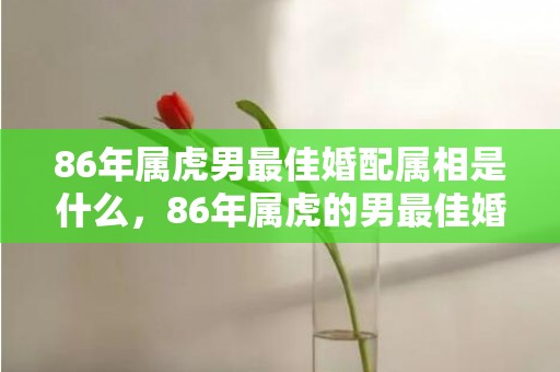 86年属虎男最佳婚配属相是什么，86年属虎的男最佳婚配